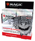 MtG - Adventures in the forgotten Realms Collector Display | Englisch